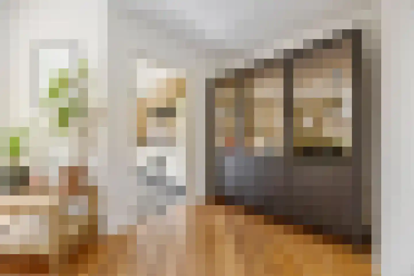 Nieuwe Mollenhutseweg 4 Nijmegen thumbnail 8