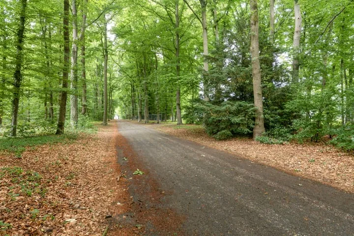 Nieuwe Mollenhutseweg 9 Nijmegen thumbnail 29