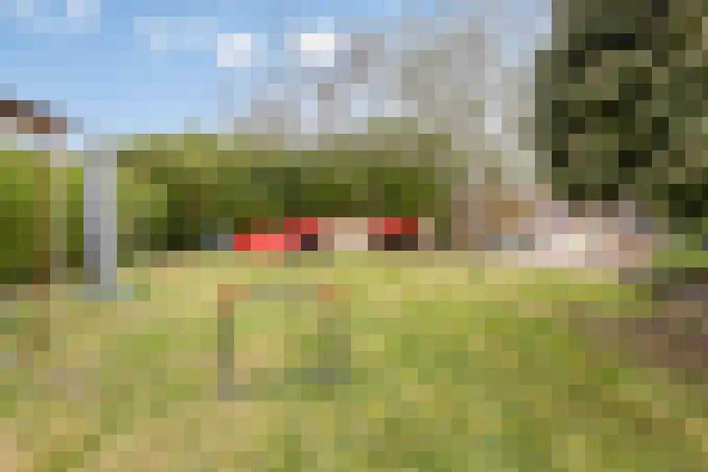 Nieuwe Mollenhutseweg 97 Nijmegen thumbnail 33
