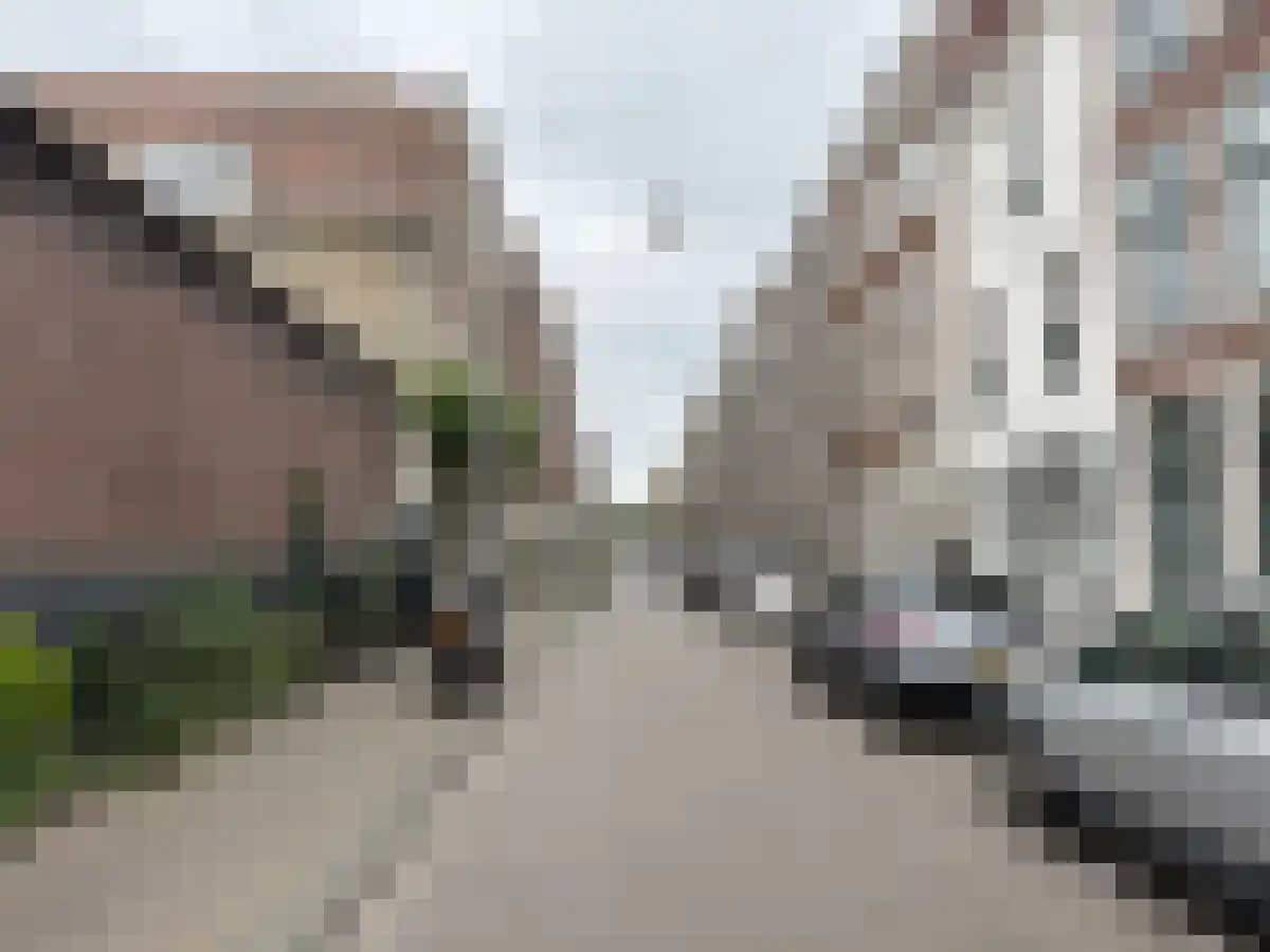 Nieuwe Molstraat 2 Den Haag