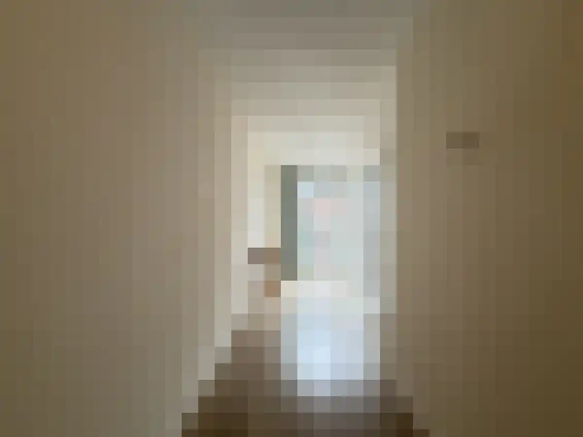 Nieuwe Molstraat 2 Den Haag thumbnail 4