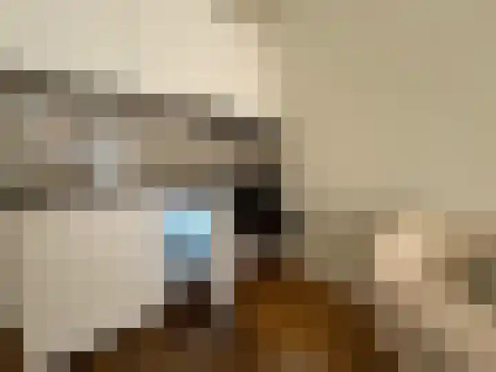 Nieuwe Molstraat 20 E Den Haag thumbnail 5