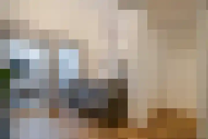 Nieuwe Molstraat 20 F Den Haag thumbnail 12