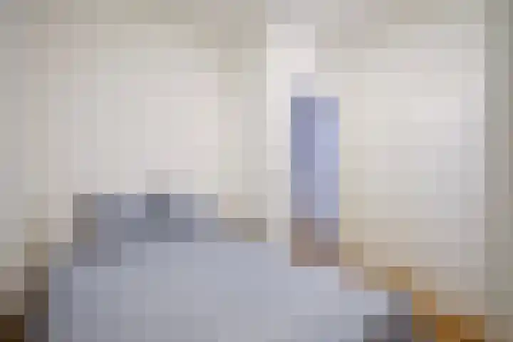 Nieuwe Molstraat 20 F Den Haag thumbnail 15