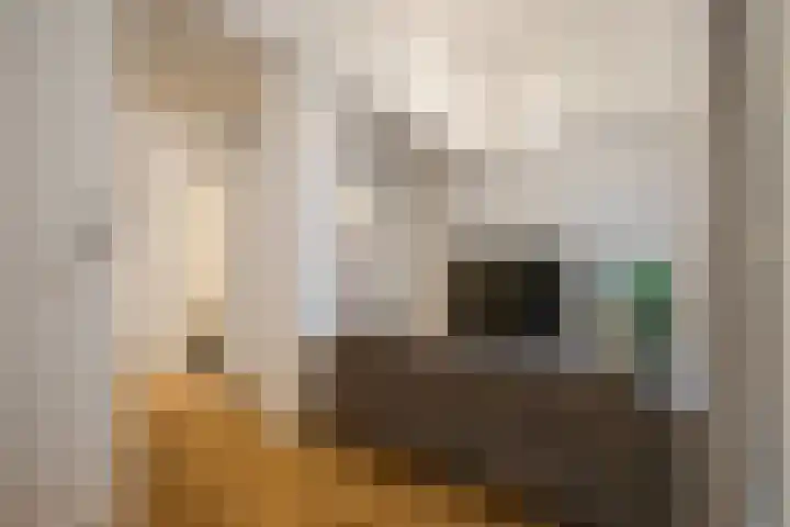 Nieuwe Molstraat 20 F Den Haag thumbnail 7