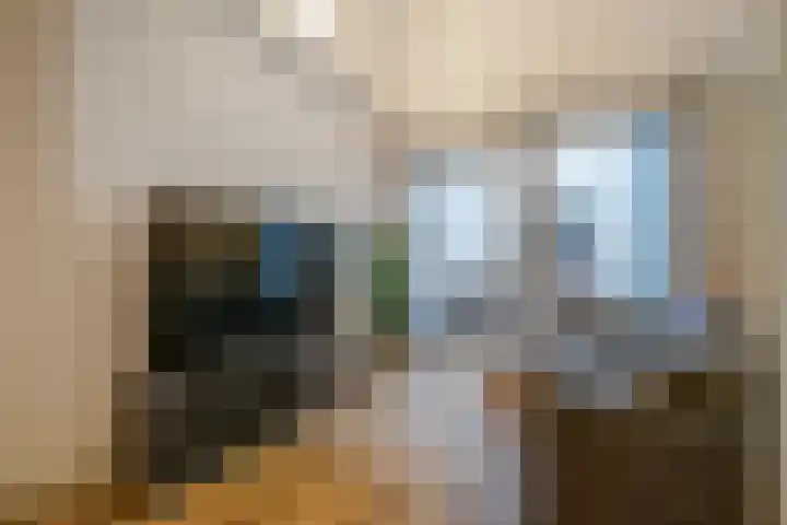 Nieuwe Molstraat 20 F Den Haag thumbnail 8
