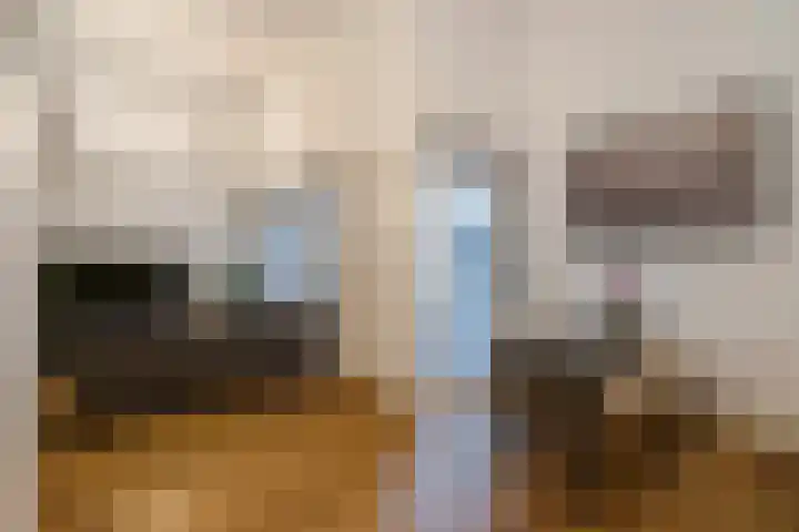 Nieuwe Molstraat 20 F Den Haag thumbnail 9