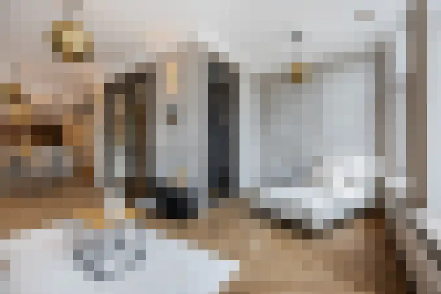 Nieuwe Molstraat 37 Den Haag thumbnail 10