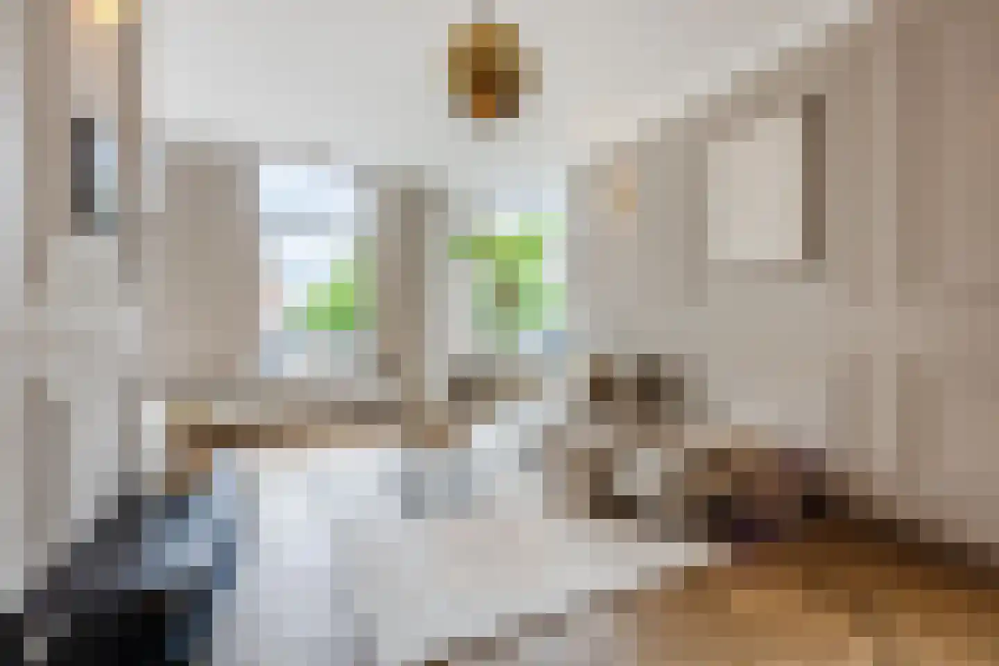 Nieuwe Molstraat 37 Den Haag thumbnail 13