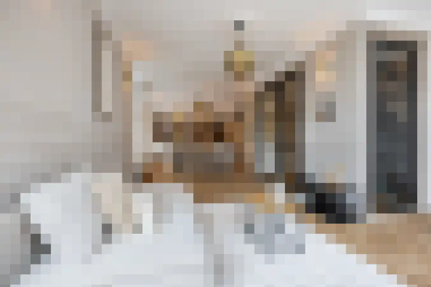 Nieuwe Molstraat 37 Den Haag thumbnail 14