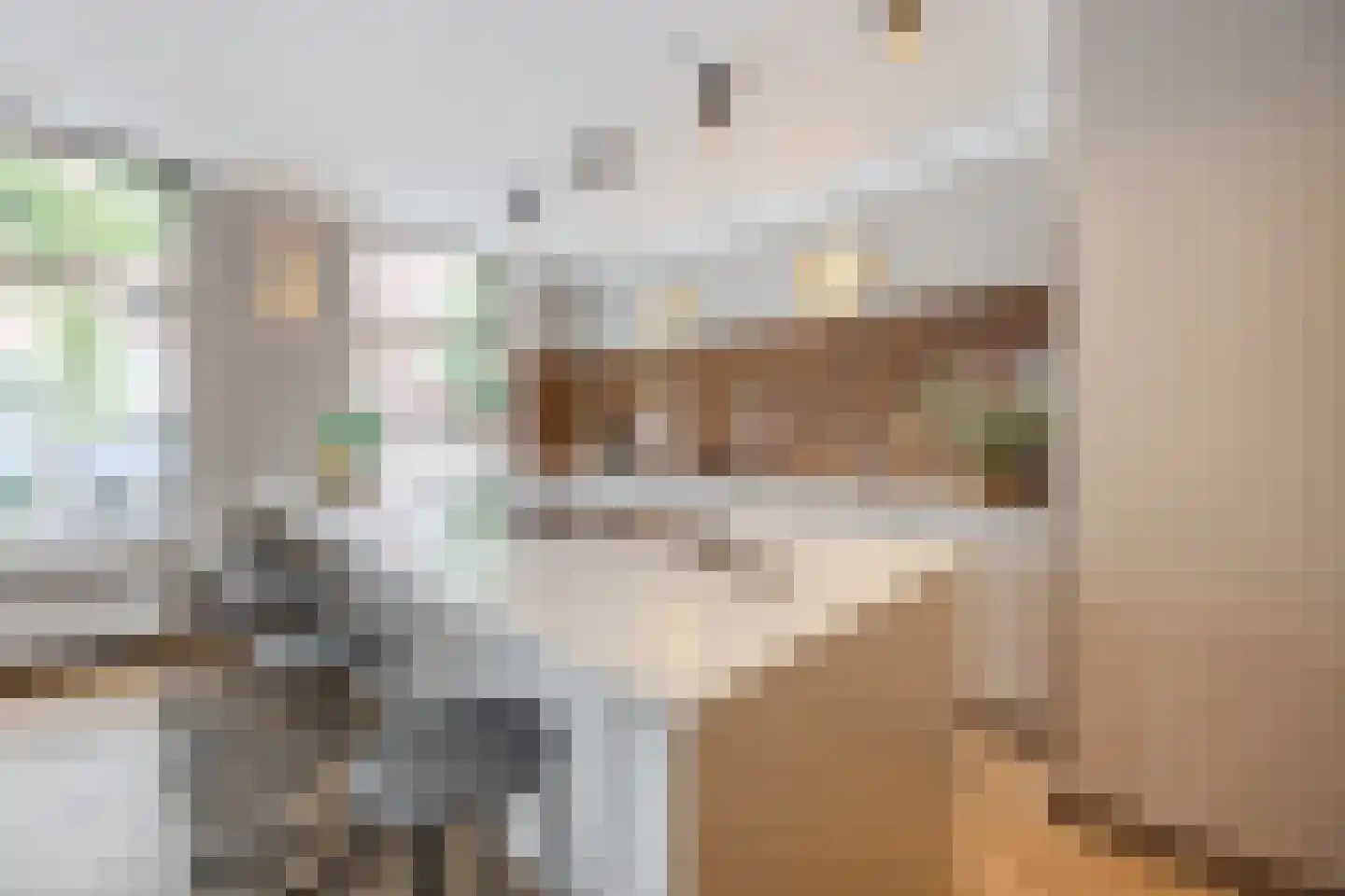 Nieuwe Molstraat 37 Den Haag thumbnail 20