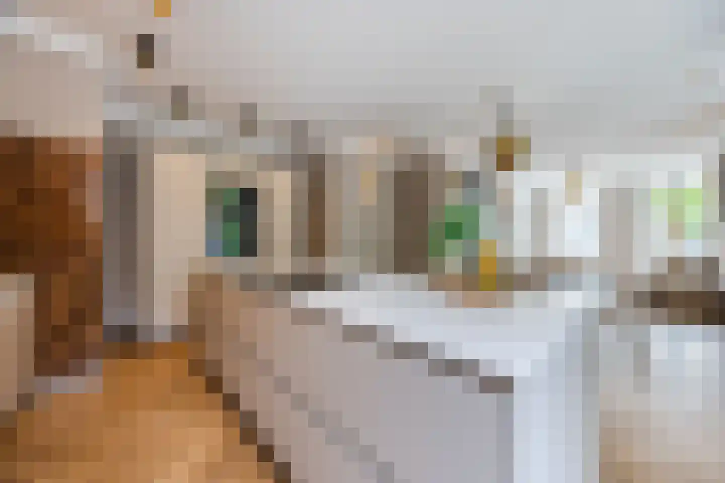 Nieuwe Molstraat 37 Den Haag thumbnail 21
