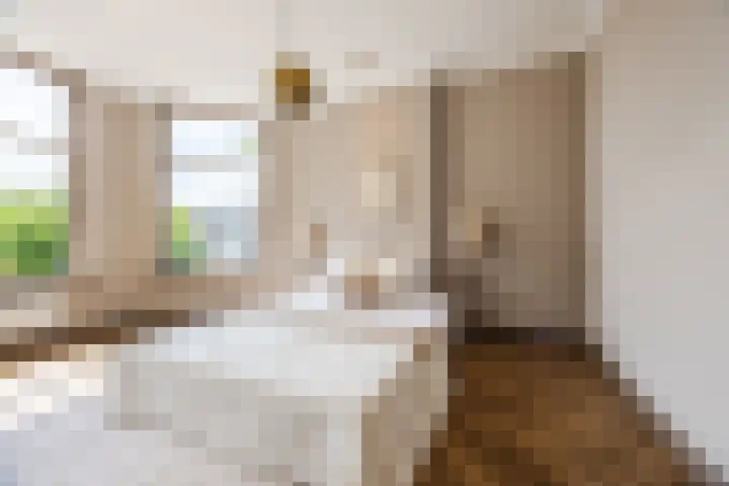 Nieuwe Molstraat 37 Den Haag thumbnail 29