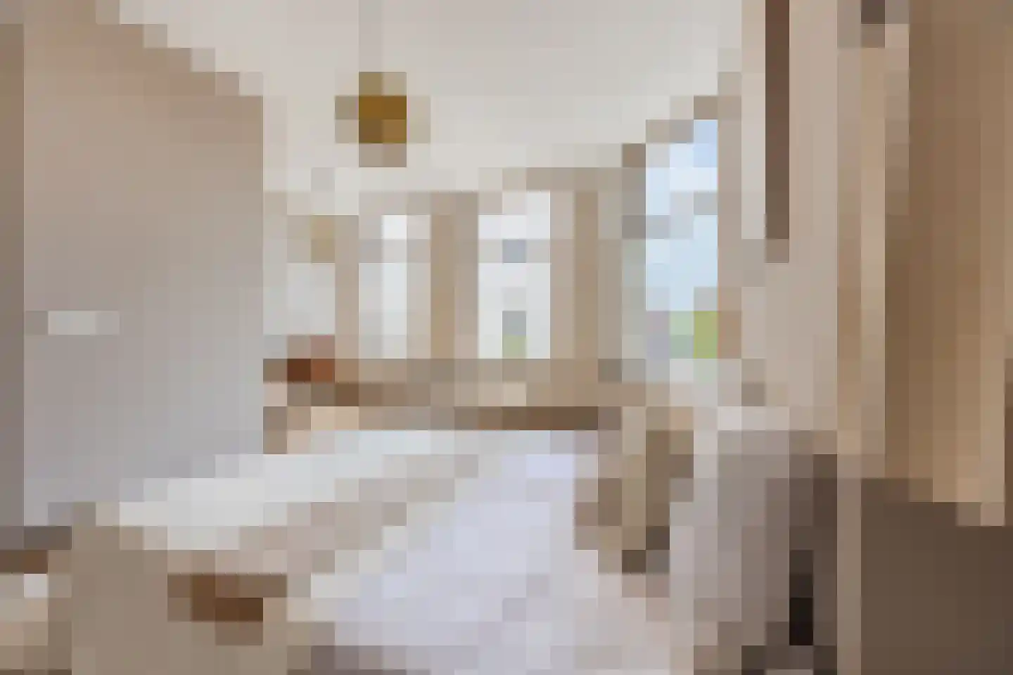 Nieuwe Molstraat 37 Den Haag thumbnail 30