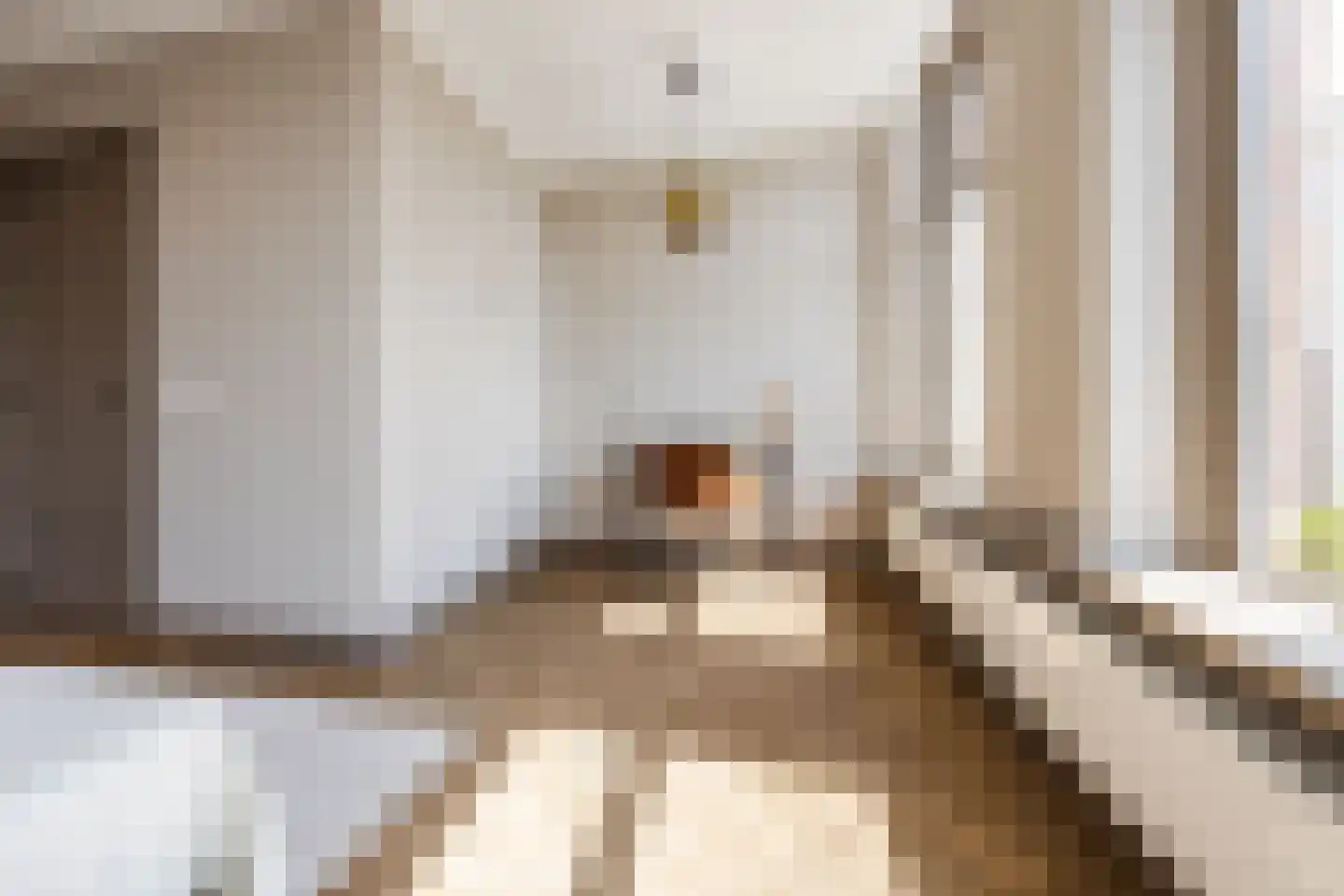 Nieuwe Molstraat 37 Den Haag thumbnail 31