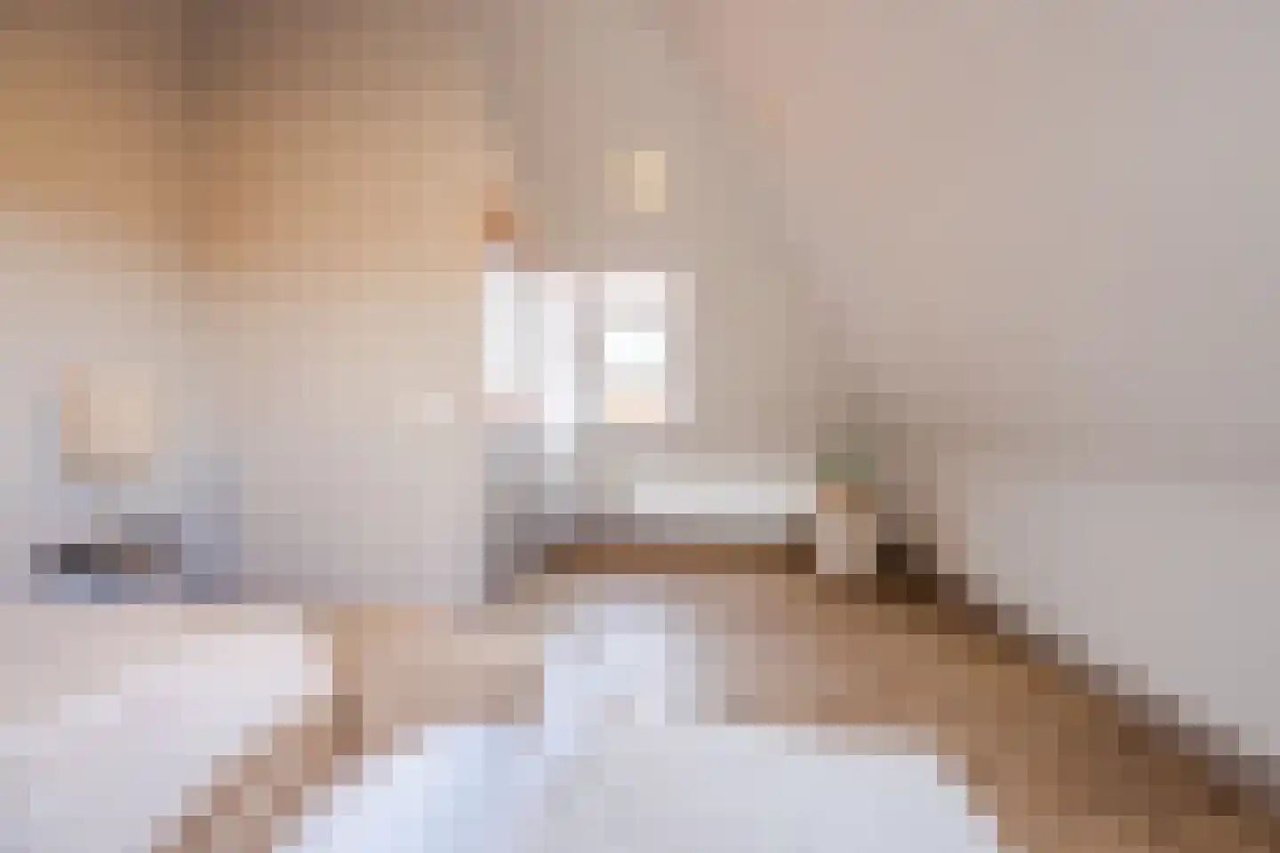 Nieuwe Molstraat 37 Den Haag thumbnail 36