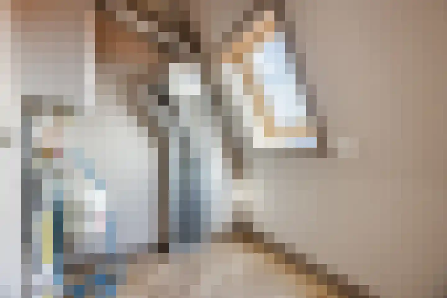 Nieuwe Molstraat 37 Den Haag thumbnail 45