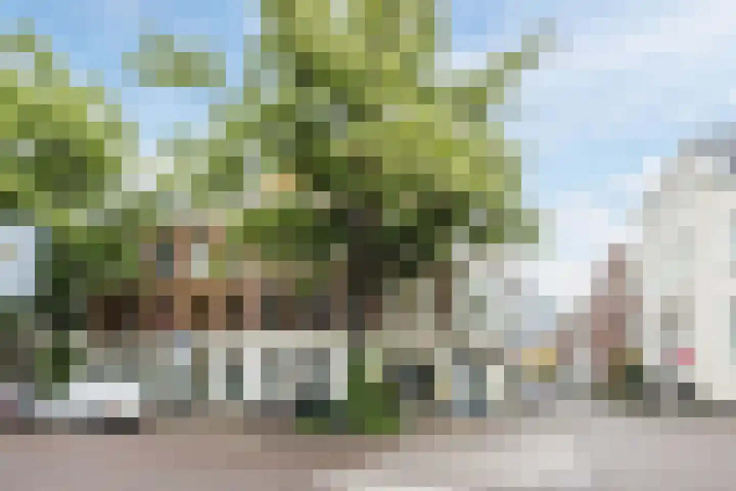 Nieuwe Molstraat 37 Den Haag thumbnail 46