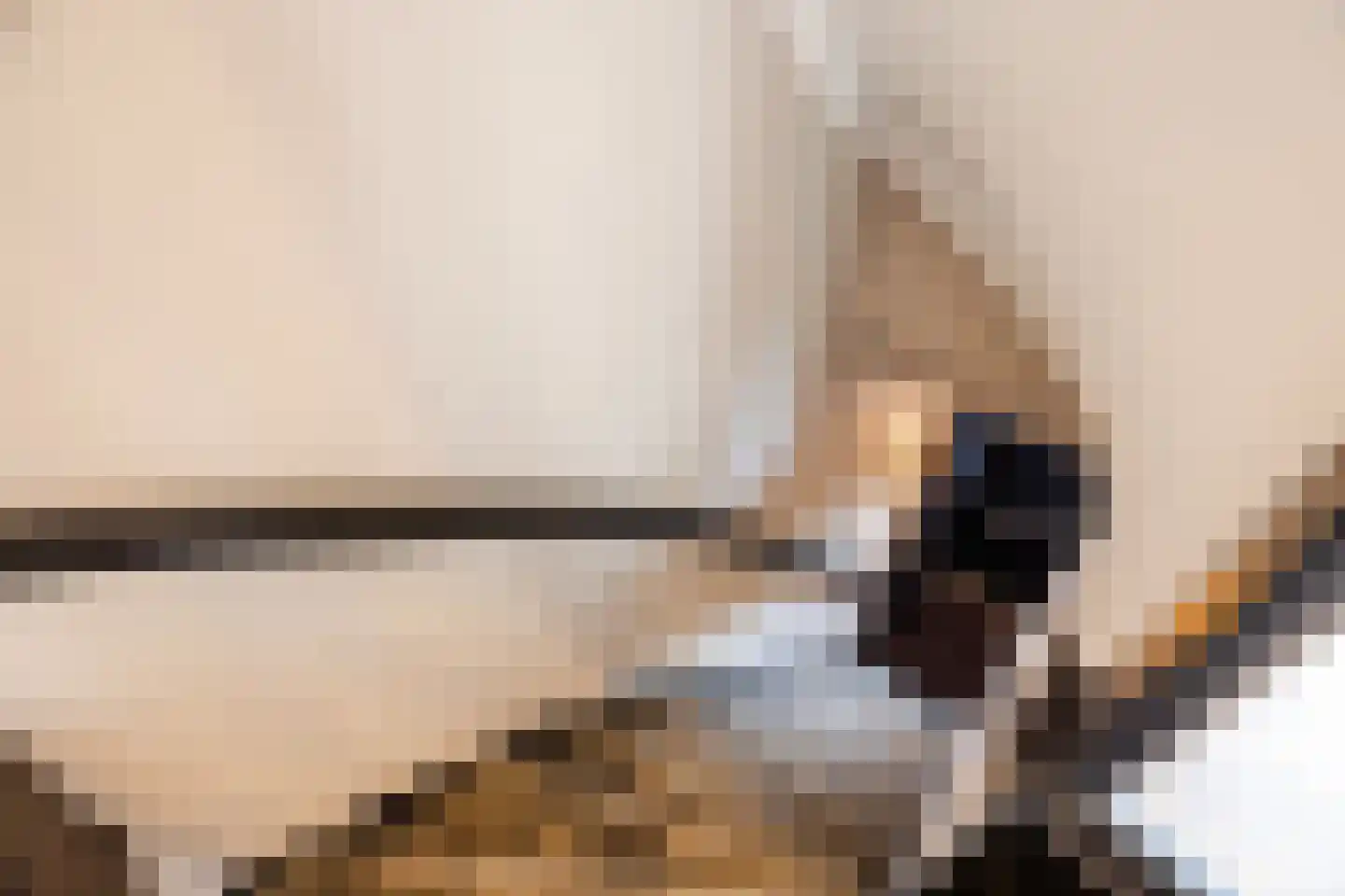 Nieuwe Molstraat 37 Den Haag thumbnail 6