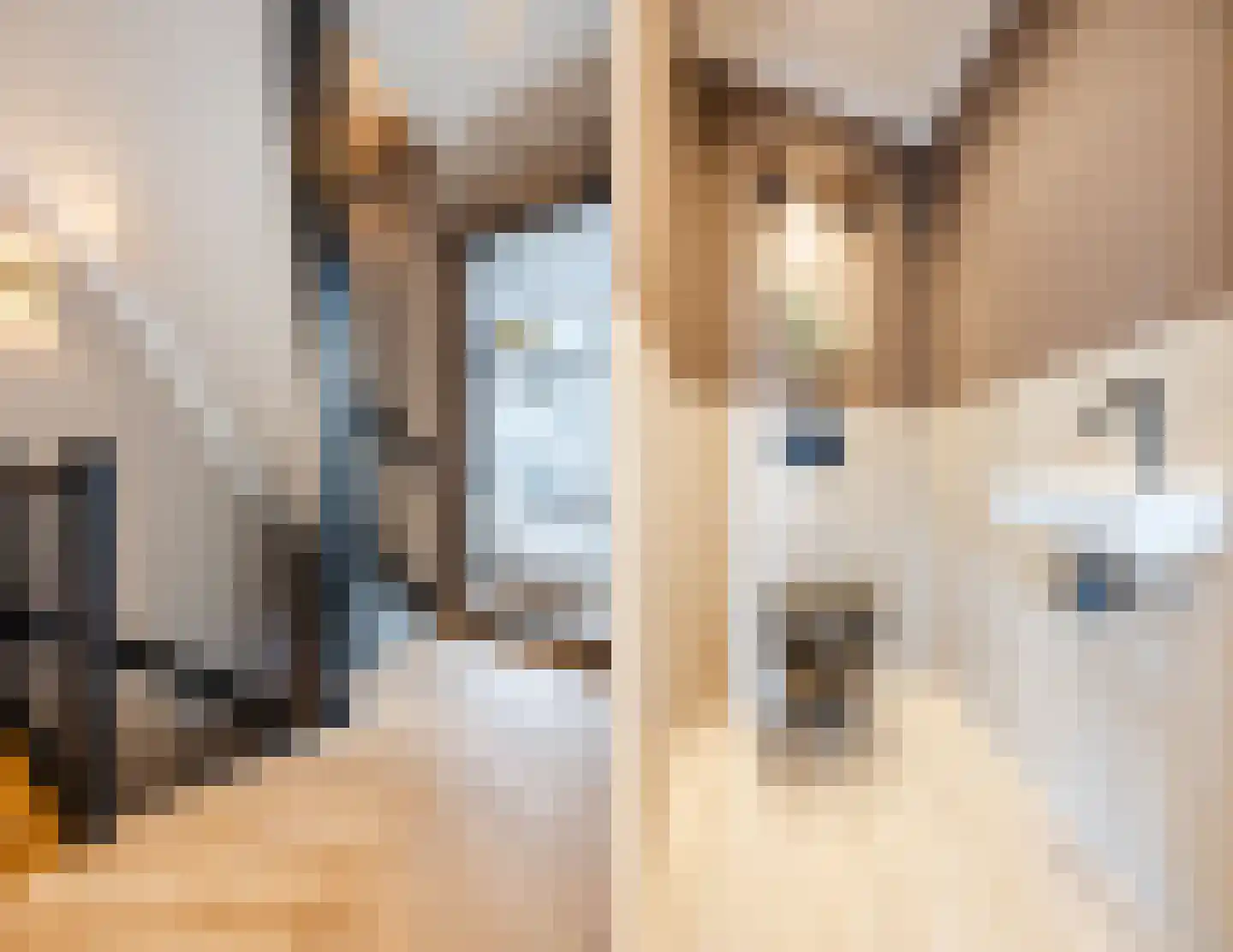 Nieuwe Molstraat 37 Den Haag thumbnail 7