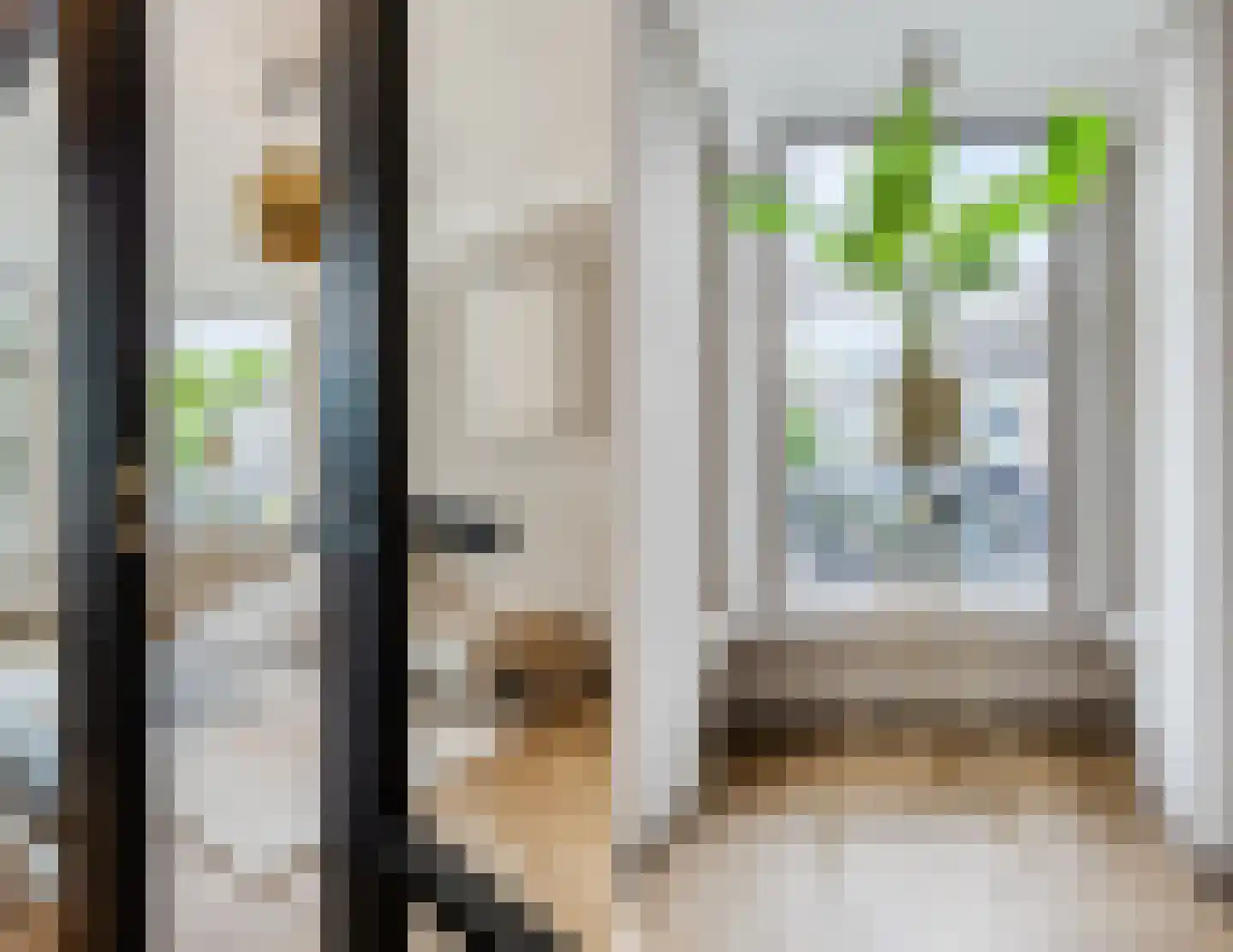 Nieuwe Molstraat 37 Den Haag thumbnail 8