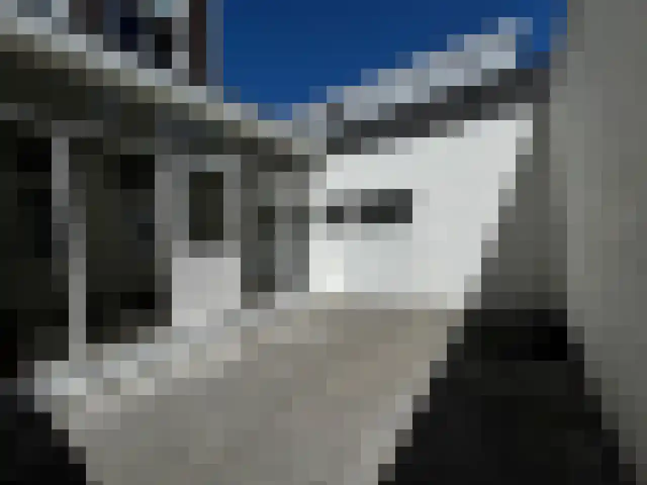 Nieuwe Molstraat 6 C Den Haag thumbnail 22