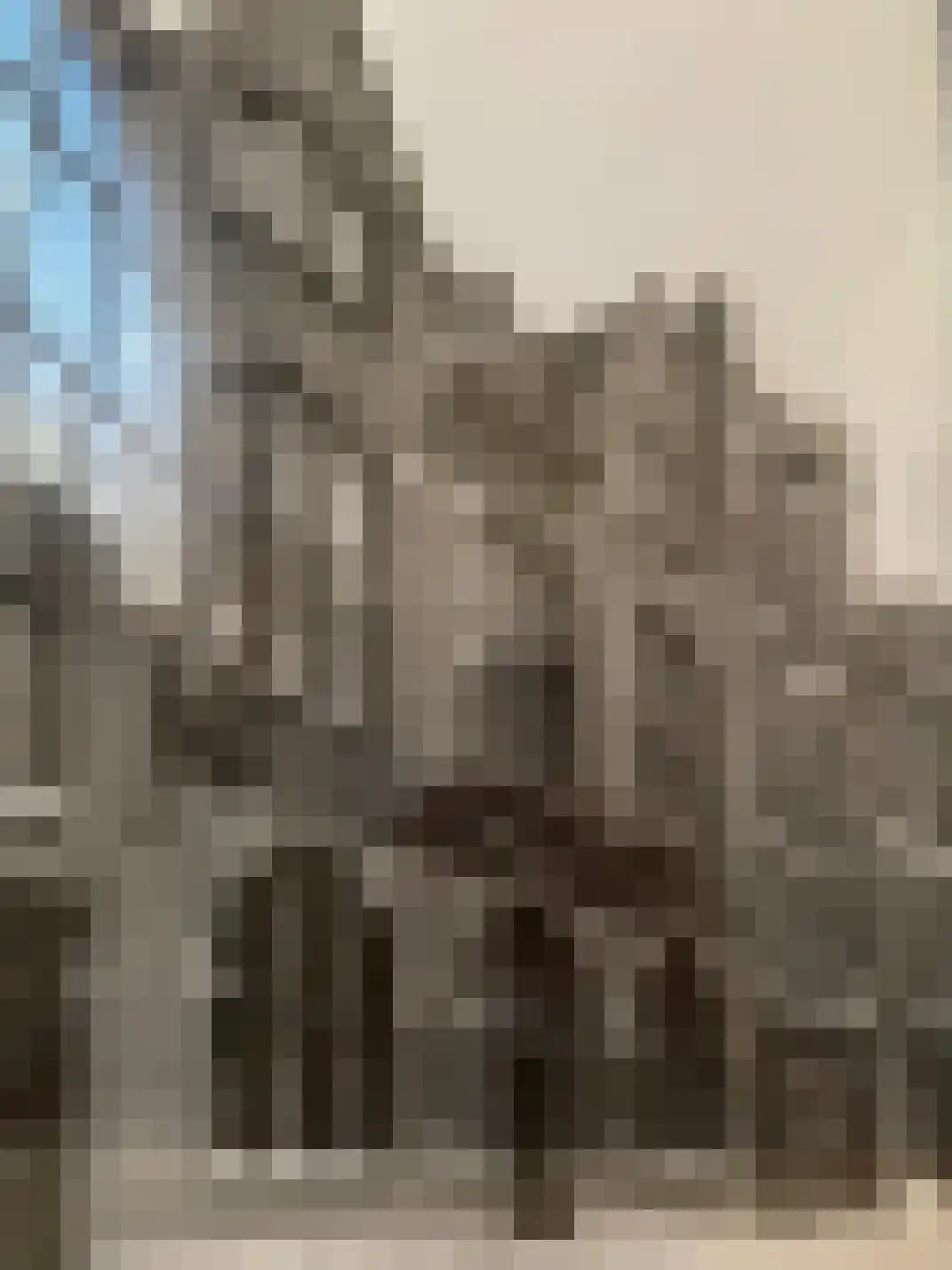 Nieuwe Molstraat 6 C Den Haag thumbnail 28