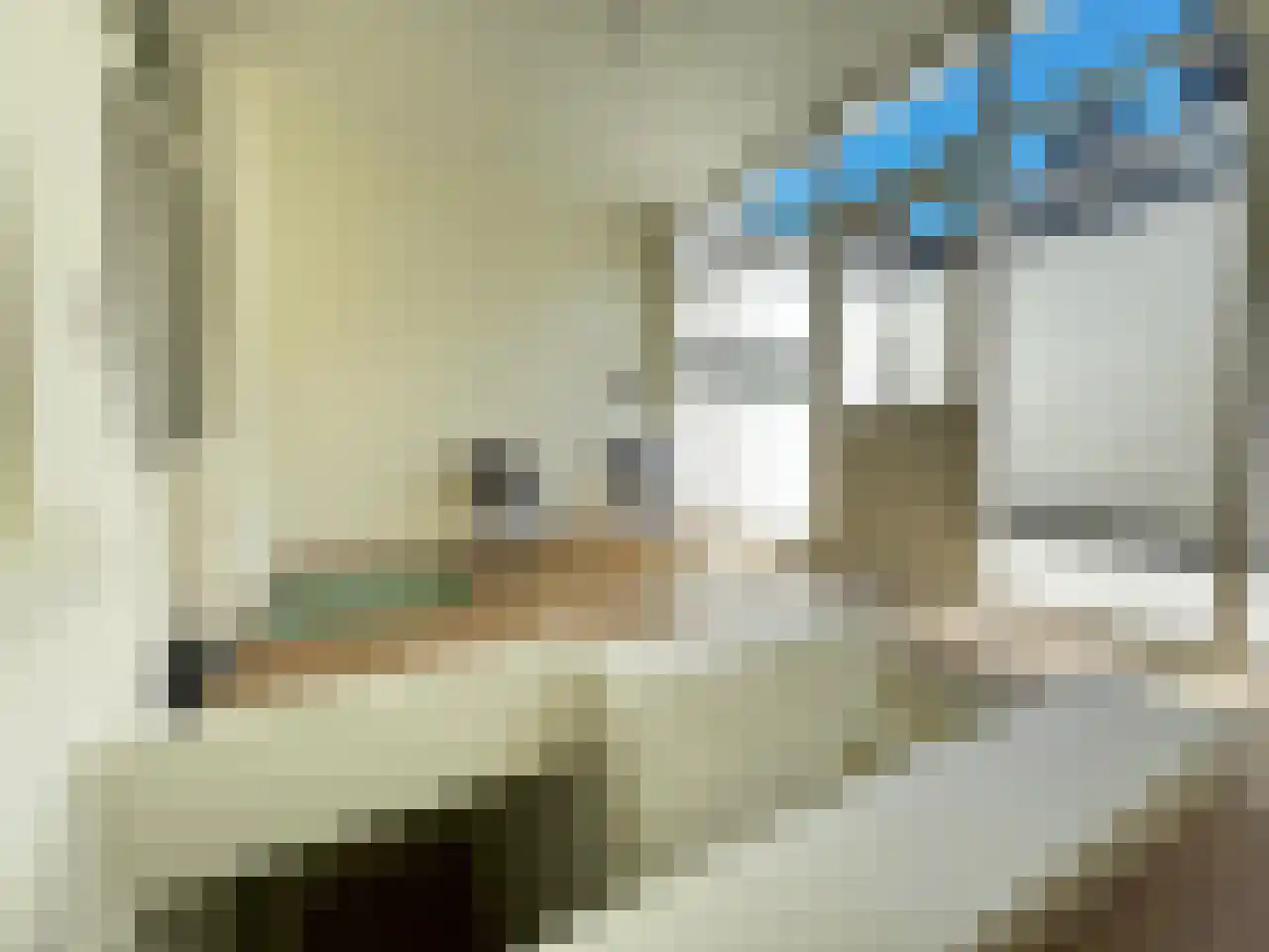 Nieuwe Molstraat 6 C Den Haag thumbnail 4