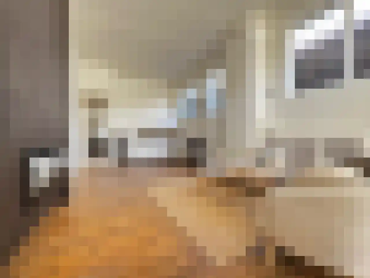 Nieuwe Molstraat 6 C Den Haag thumbnail 7