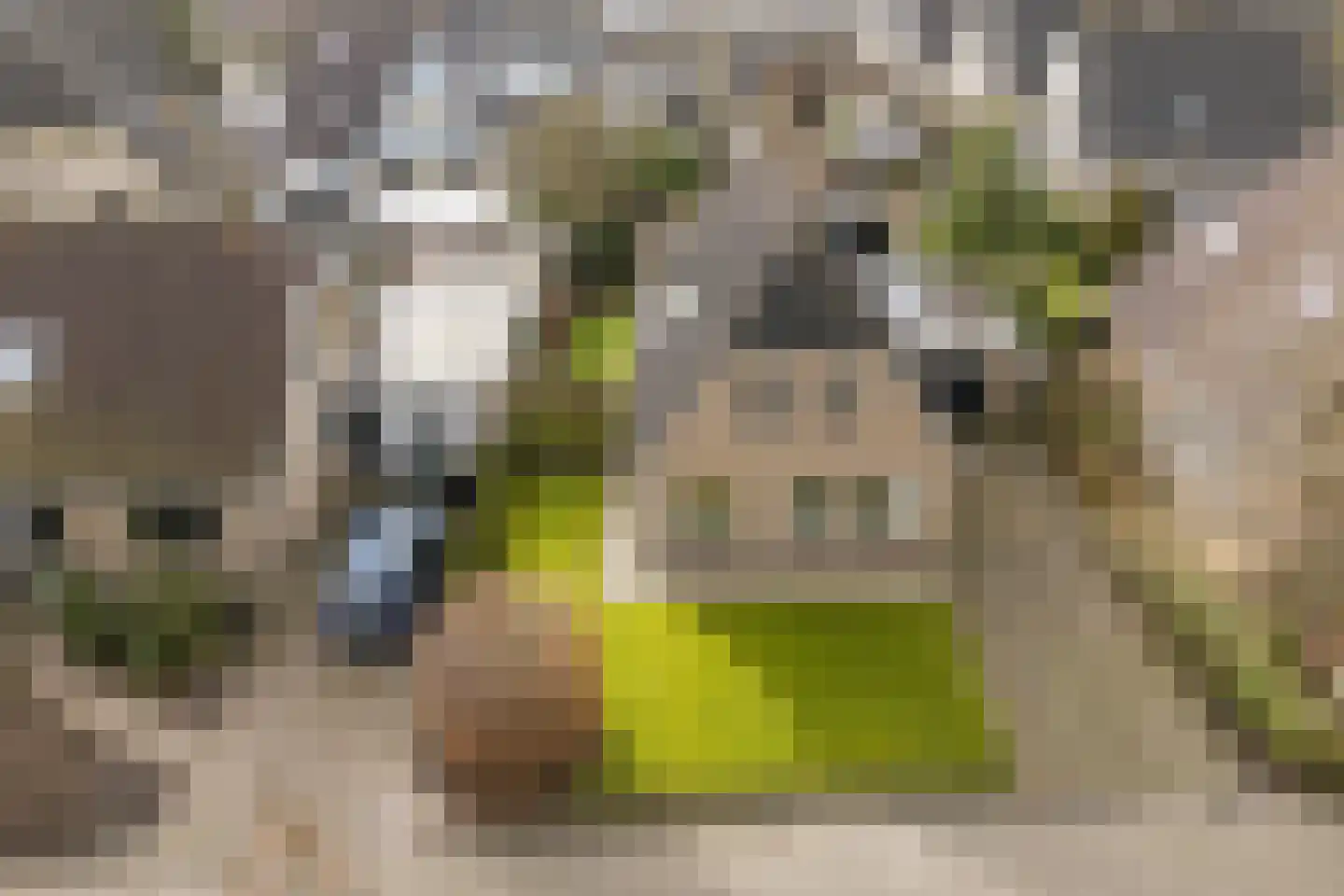 Nieuwe Niedorperweg 26 dans Nieuwe Niedorp