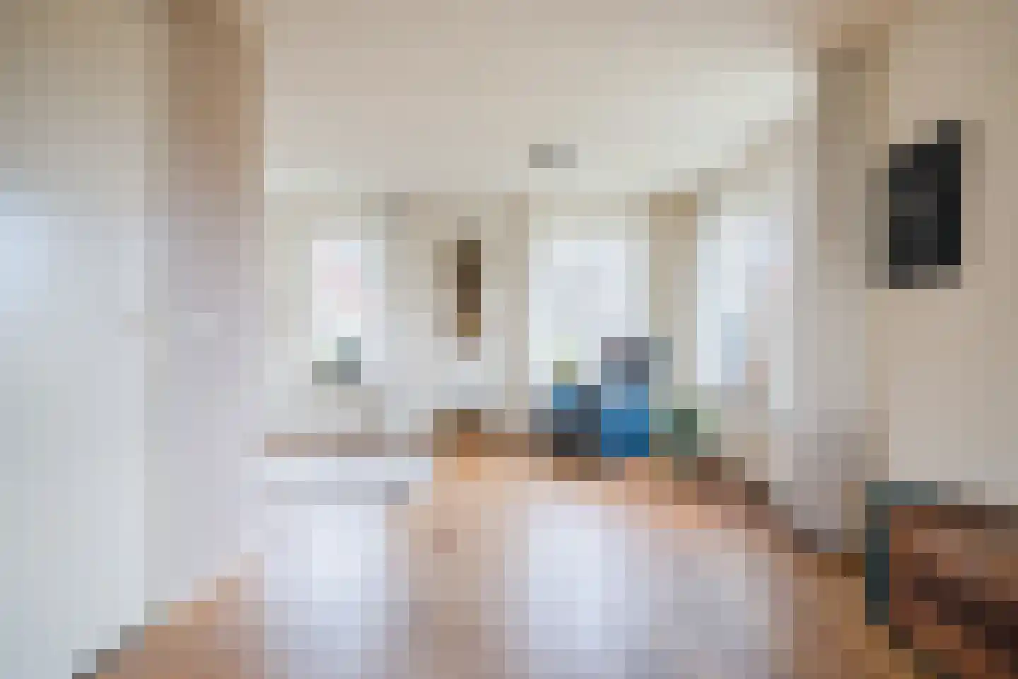 Nieuwe Niedorperweg 26 Nieuwe Niedorp thumbnail 10