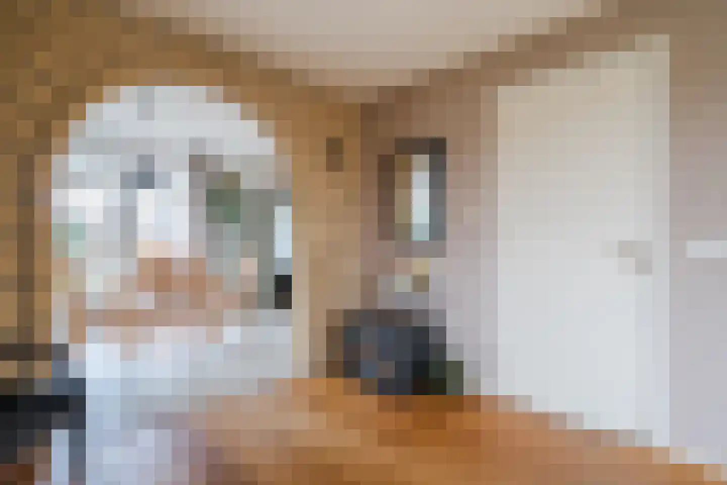 Nieuwe Niedorperweg 26 Nieuwe Niedorp thumbnail 11