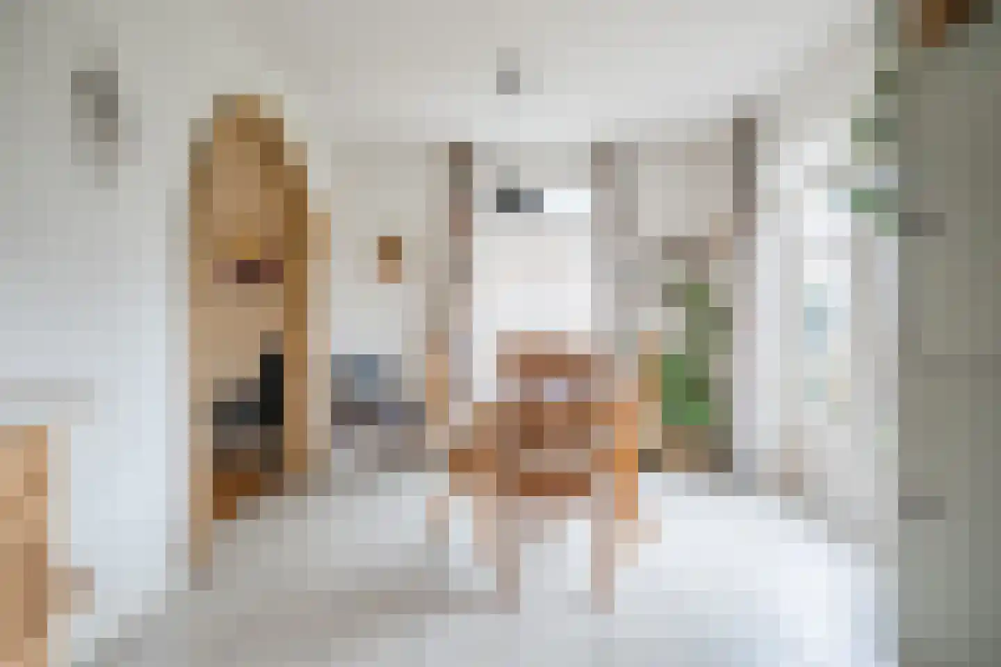 Nieuwe Niedorperweg 26 Nieuwe Niedorp thumbnail 16