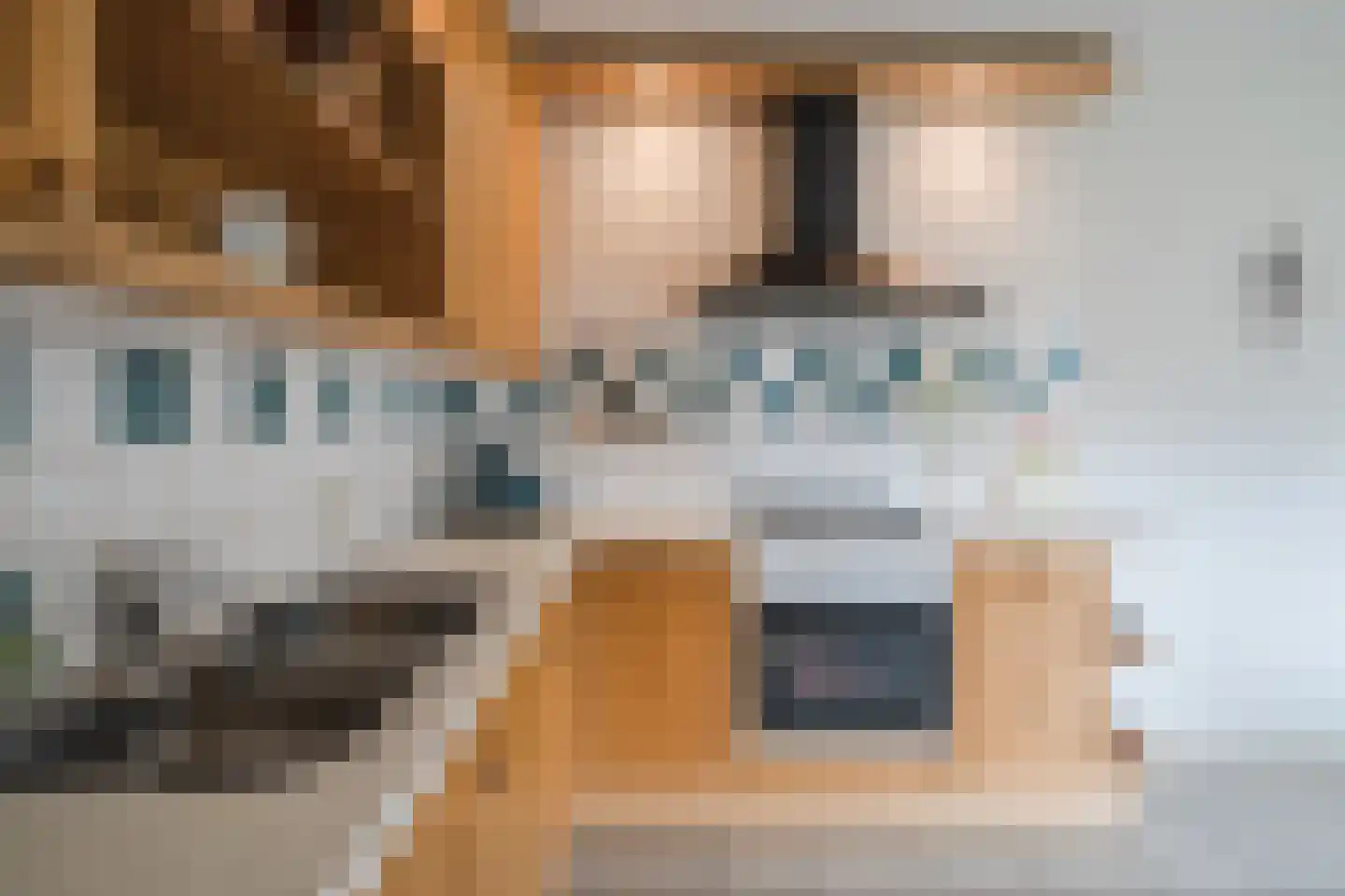 Nieuwe Niedorperweg 26 Nieuwe Niedorp thumbnail 18