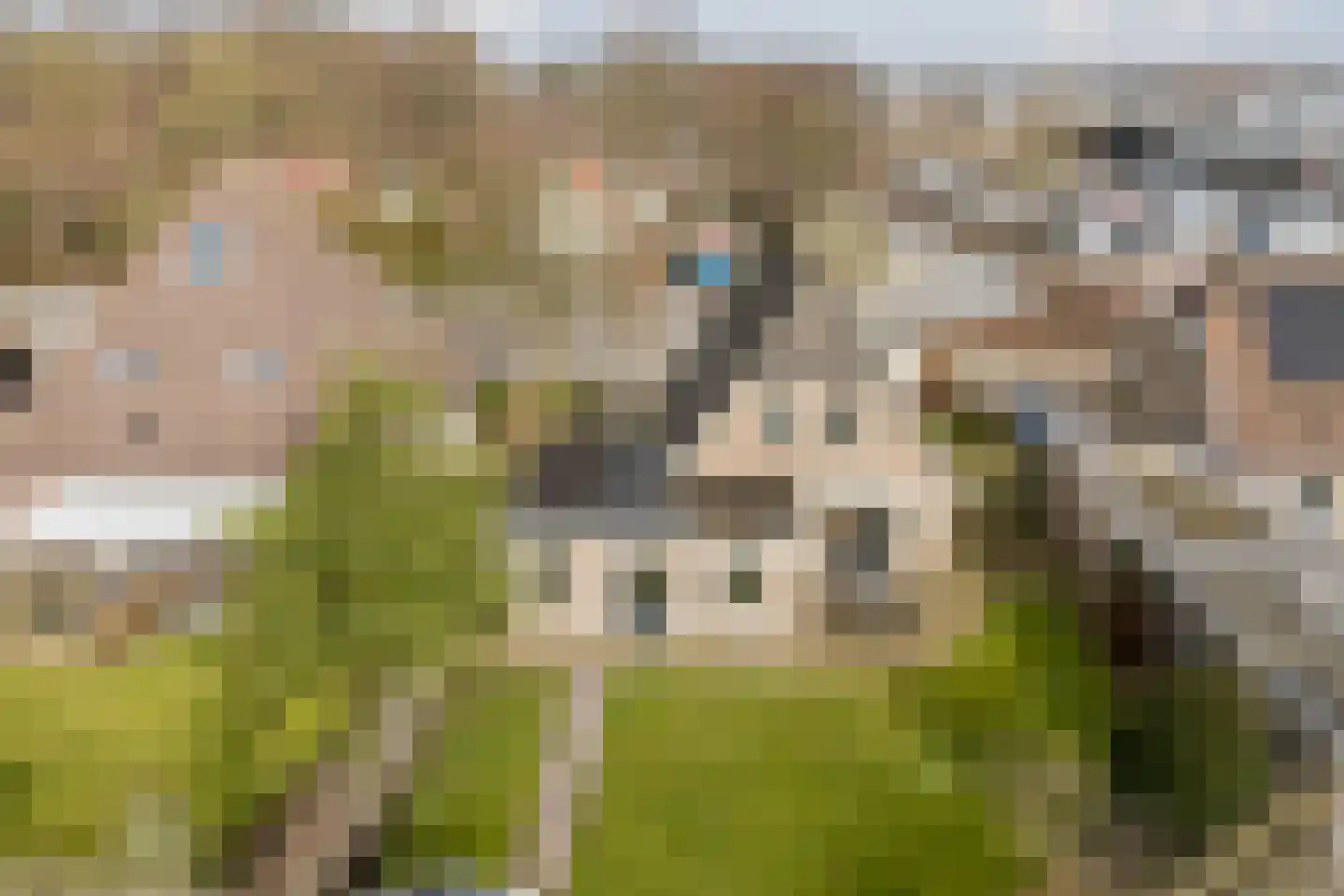 Nieuwe Niedorperweg 26 Nieuwe Niedorp thumbnail 56