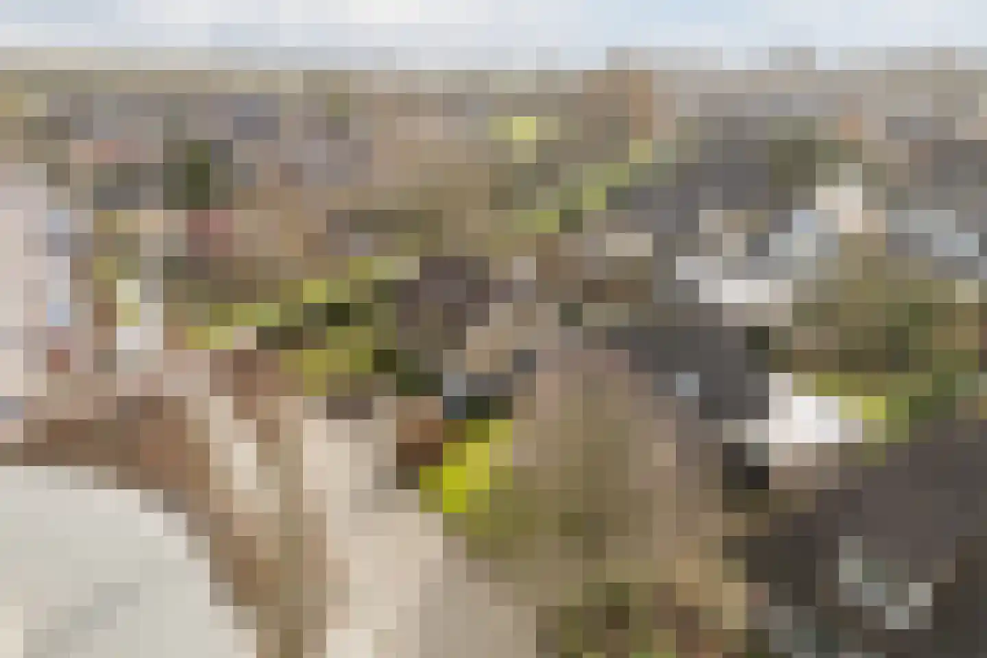 Nieuwe Niedorperweg 26 Nieuwe Niedorp thumbnail 57