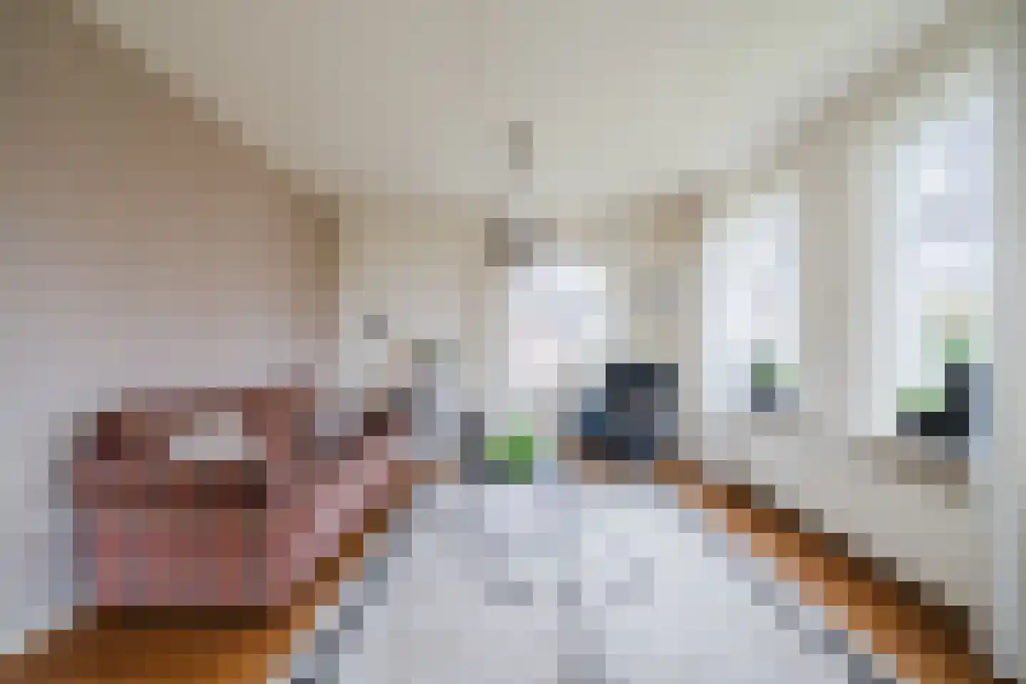Nieuwe Niedorperweg 26 Nieuwe Niedorp thumbnail 6