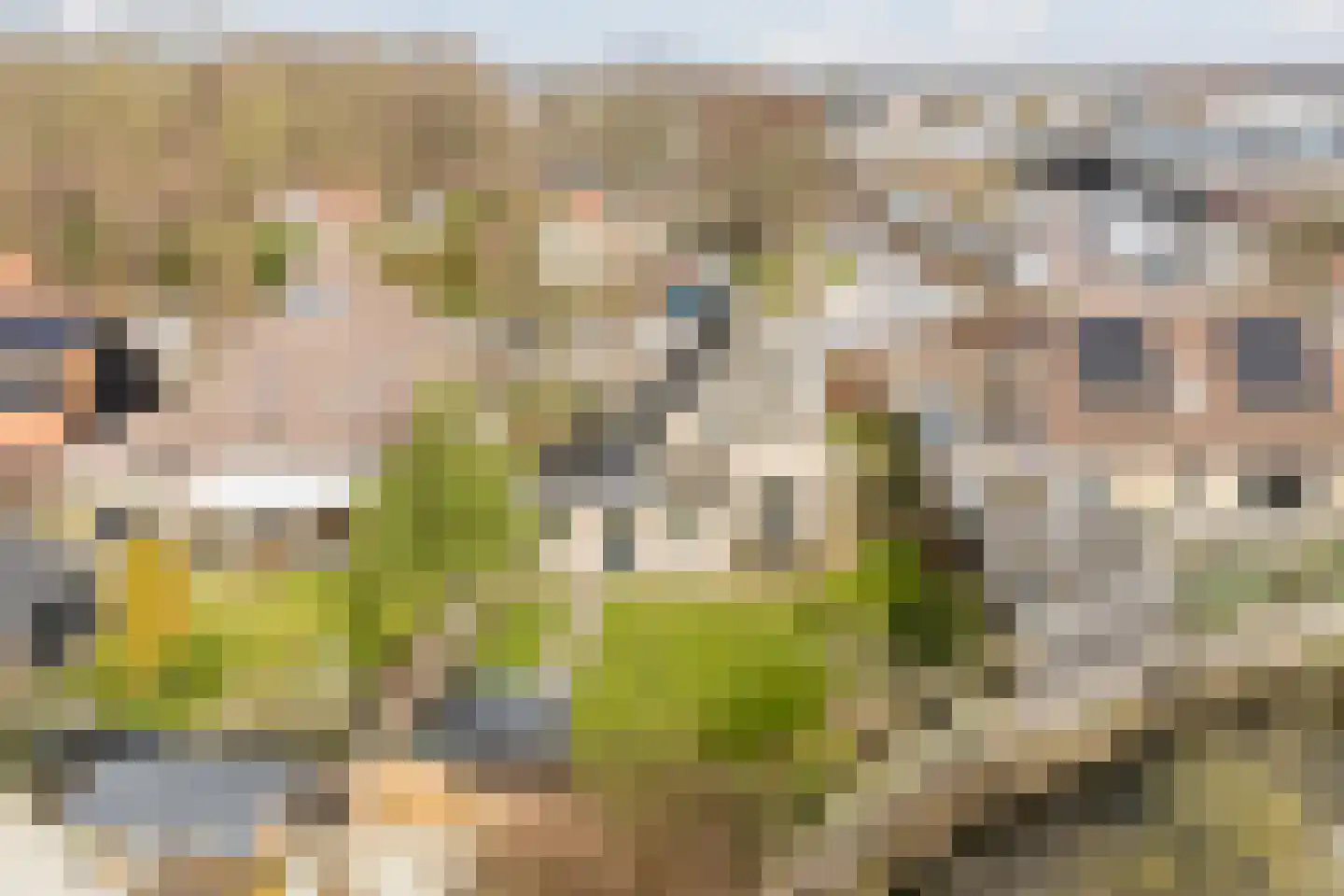 Nieuwe Niedorperweg 26 Nieuwe Niedorp thumbnail 64