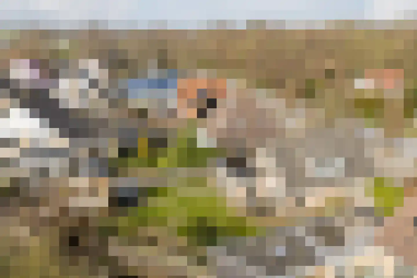 Nieuwe Niedorperweg 26 Nieuwe Niedorp thumbnail 65