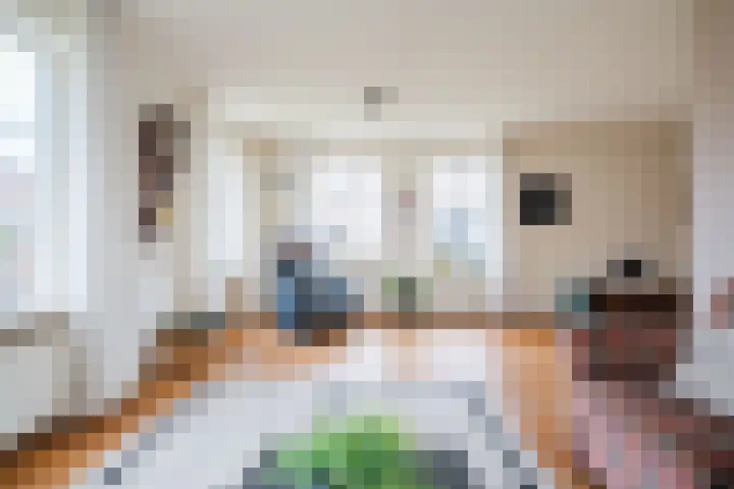 Nieuwe Niedorperweg 26 Nieuwe Niedorp thumbnail 8