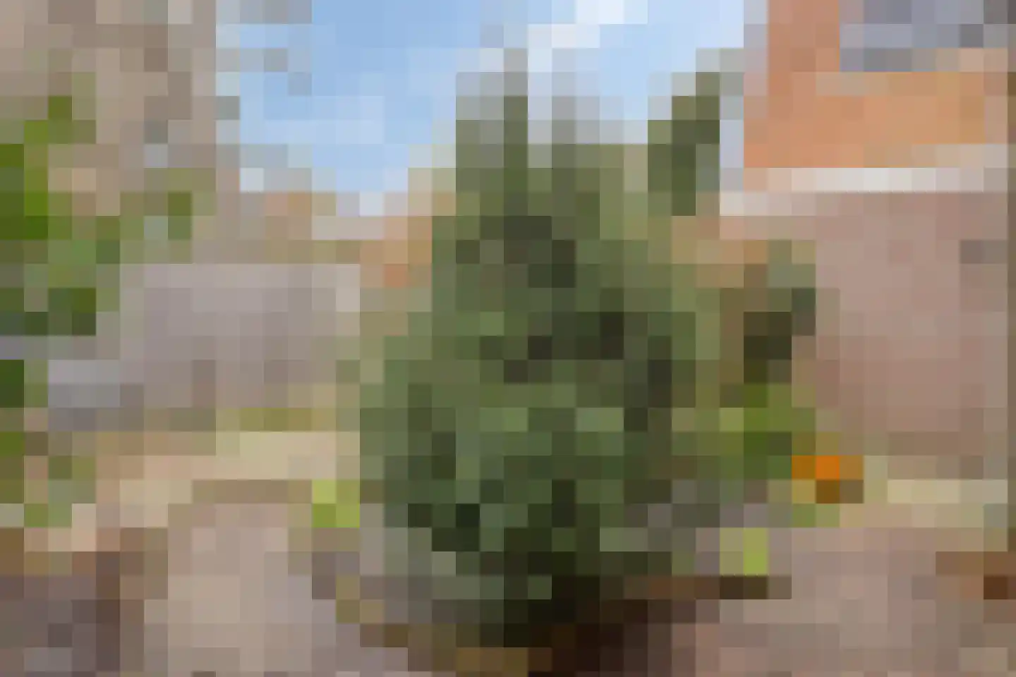 Nieuwe Niesenoortsburgwal 10 Monnickendam thumbnail 21