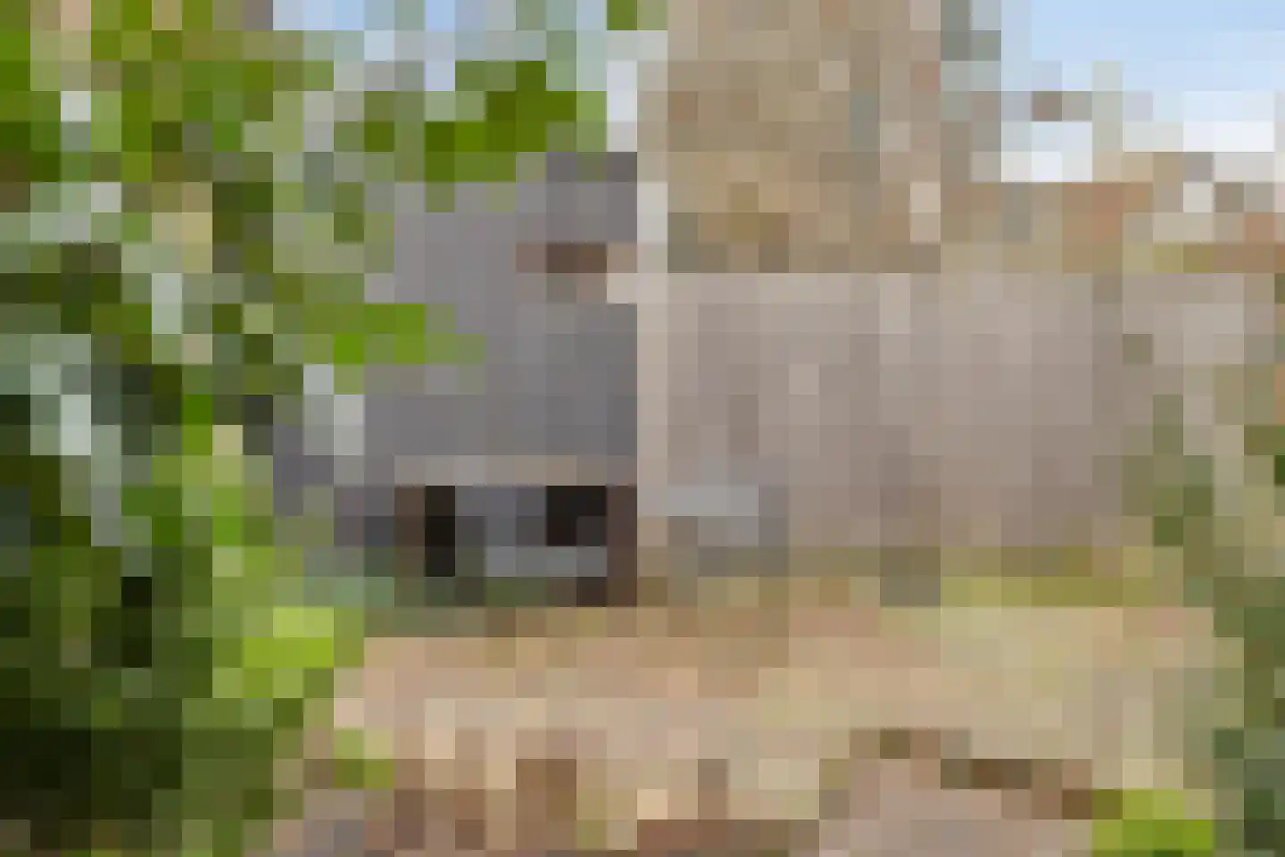 Nieuwe Niesenoortsburgwal 10 Monnickendam thumbnail 22