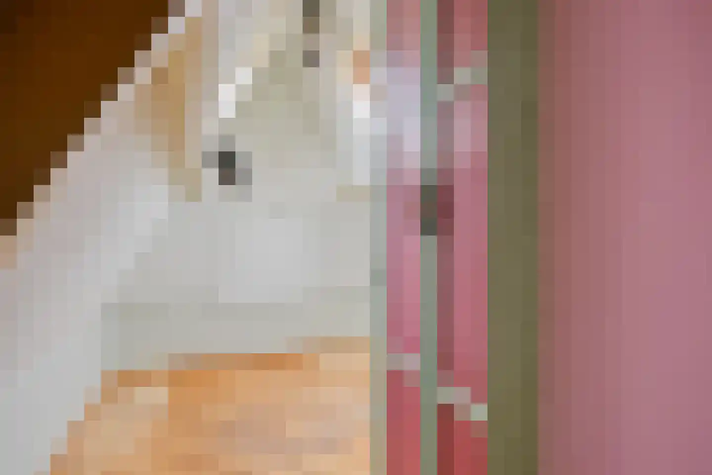 Nieuwe Niesenoortsburgwal 10 Monnickendam thumbnail 38
