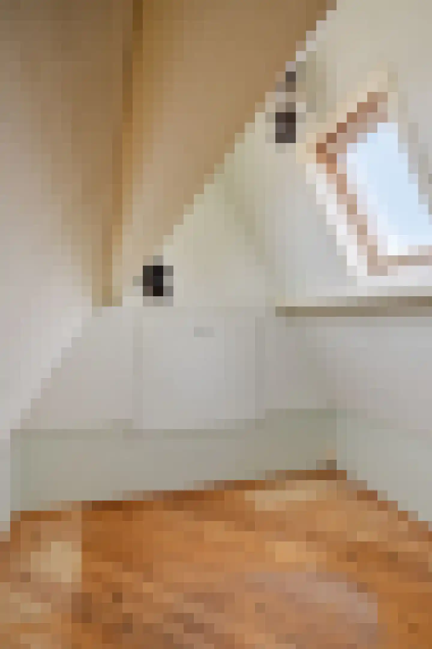 Nieuwe Niesenoortsburgwal 10 Monnickendam thumbnail 39