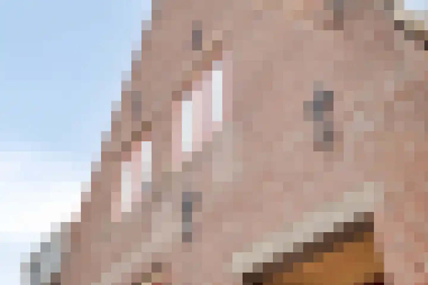 Nieuwe Niesenoortsburgwal 10 Monnickendam thumbnail 44