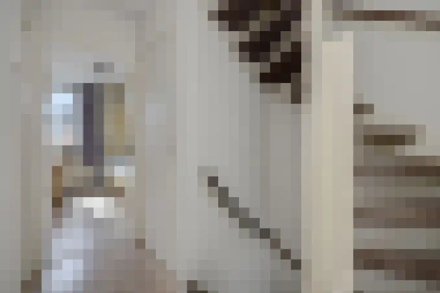 Nieuwe Nieuwstraat 108 Boxtel thumbnail 22