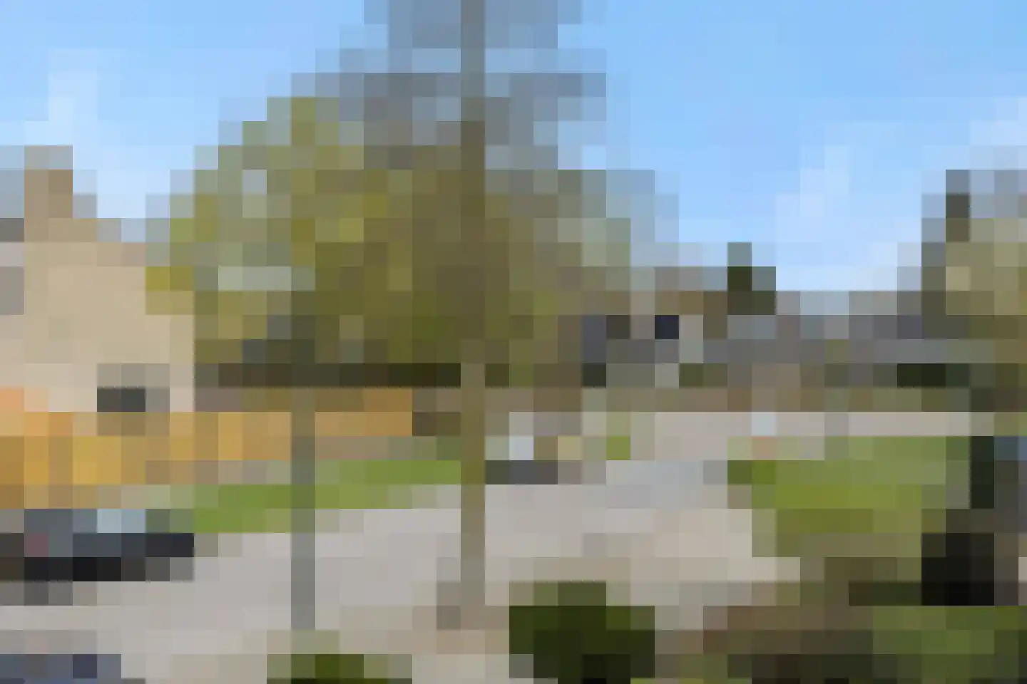 Nieuwe Nieuwstraat 108 Boxtel thumbnail 31