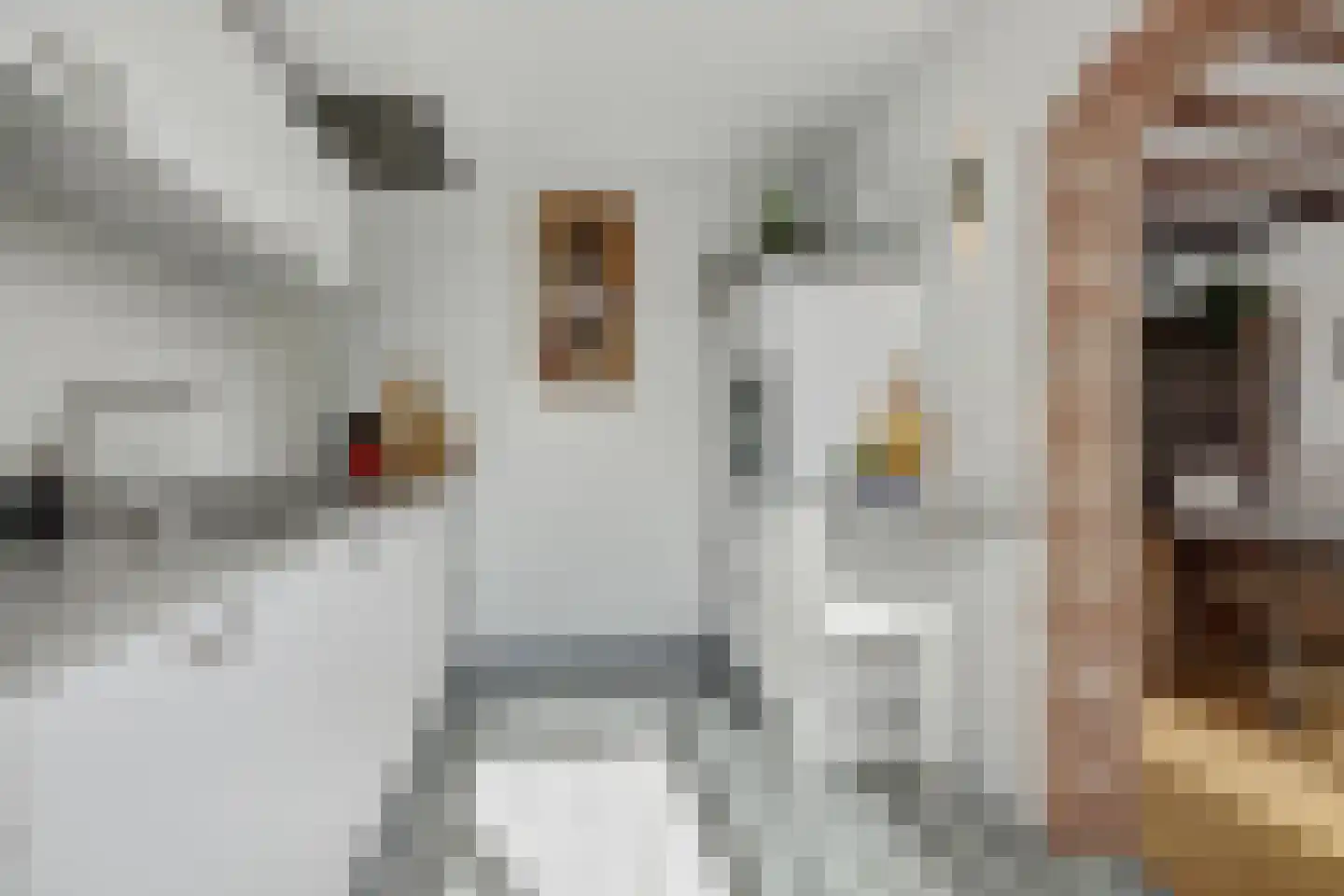 Nieuwe Nieuwstraat 108 Boxtel thumbnail 4
