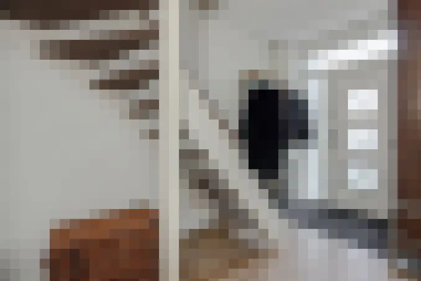 Nieuwe Nieuwstraat 108 Boxtel thumbnail 6