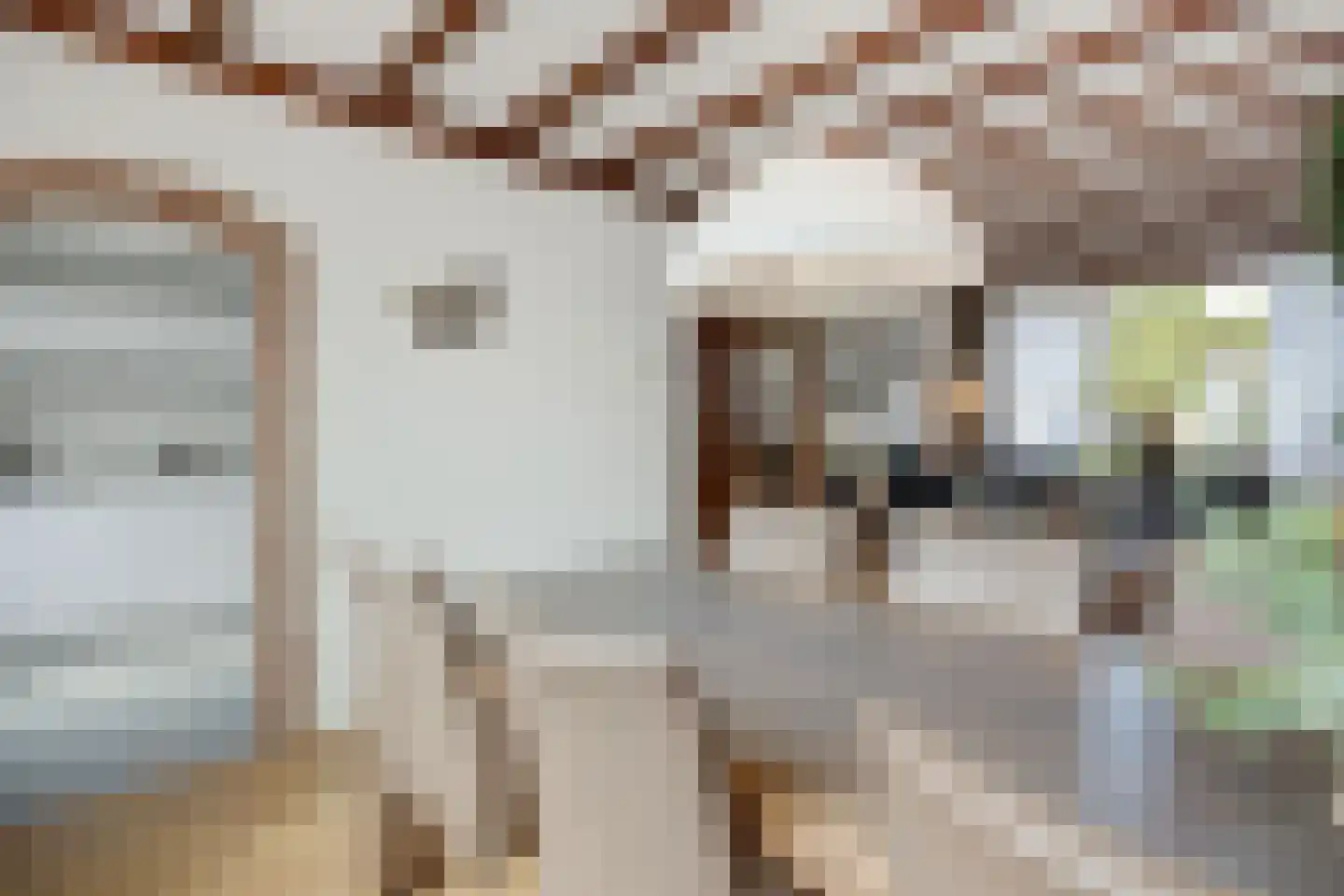Nieuwe Nieuwstraat 108 Boxtel thumbnail 8